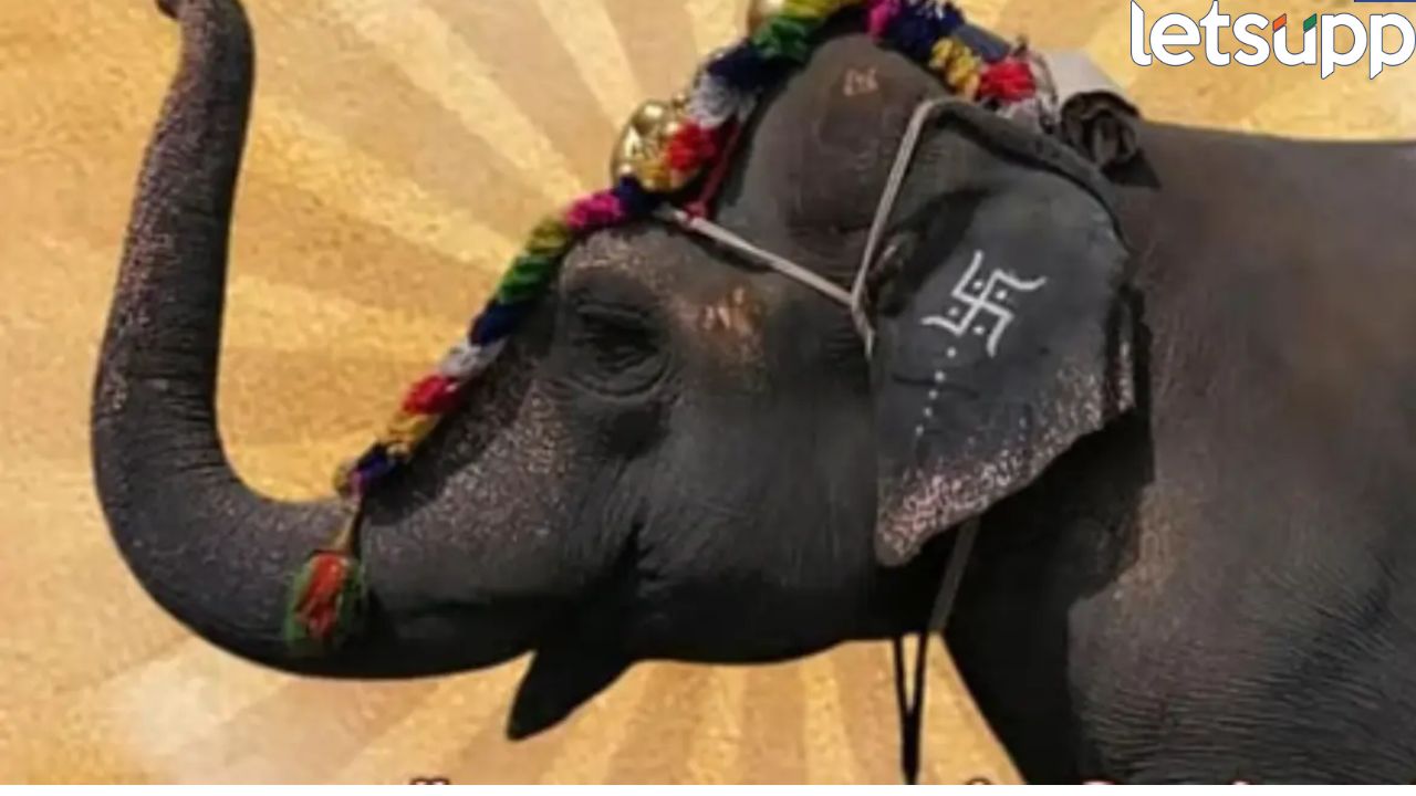 मोठी बातमी!  सर्वोच्च न्यायालयात सरकार पक्षकार होणार, महादेवीला पुन्हा आणण्यासाठी मोठा निर्णय