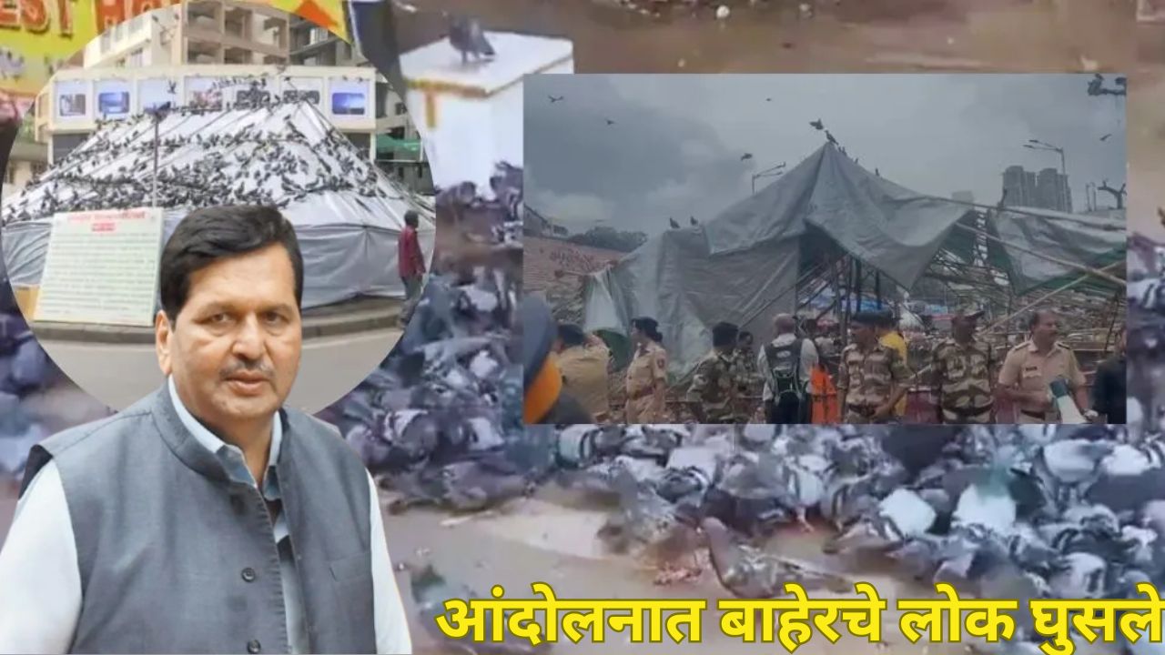“Dadar Kabutar Khana आंदोलन चुकीचंच, बाहेरच्या लोकांनी..”, मंत्री लोढांनी स्पष्टचं सांगितलं