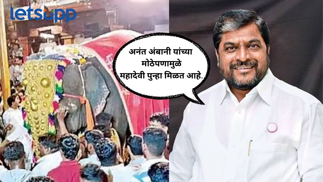 महादेवी हत्तिणीचा वाद मिटला ! आक्रमक राजू शेट्टींचे अखेर अंबानींसाठी गोड शब्द