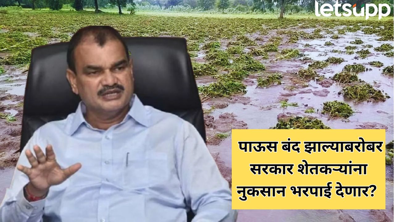 मोठी बातमी! पाऊस थांबताच शेतकऱ्यांना नुकसान भरपाई? कृषिमंत्री दत्तात्रय भरणेंचं मोठं विधान Agriculture Minister Dattatreya Bharane