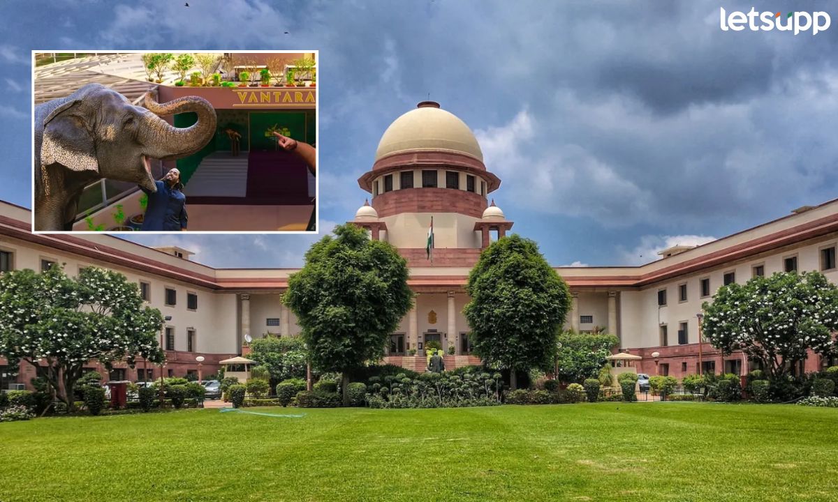 ज्यावर गर्व करावा त्यावर वाद नको! माधुरी हत्तीण प्रकरणी वनताराविरोधात याचिका, सुप्रीम कोर्टाने फटकरलं…