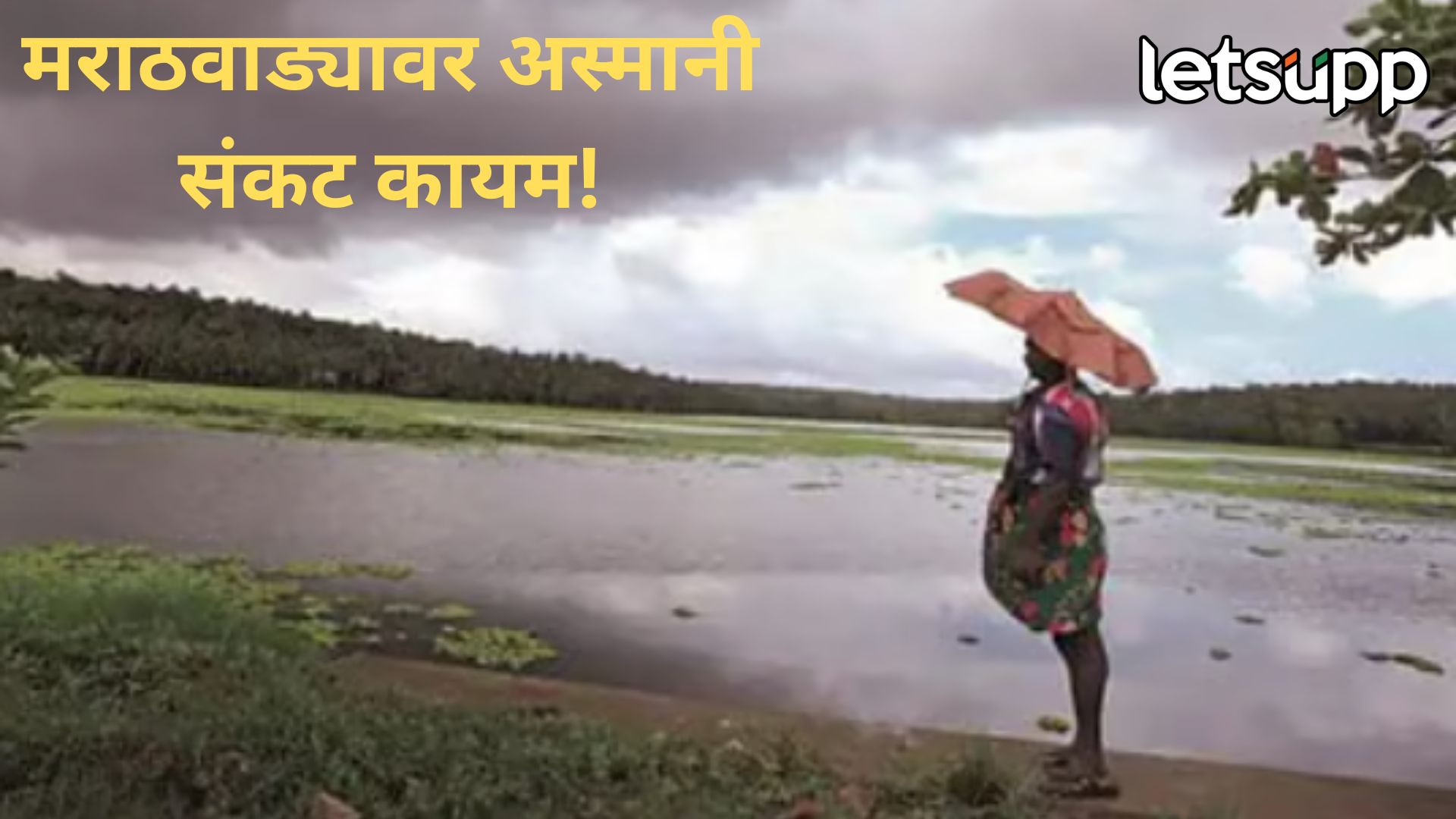 पावसाचा अतिरेक काही थांबेना; कोकणासह मराठवाड्यात जोर कायम, उरलं-सुरलं वाहून जाण्याची भीती Marathwada Rain
