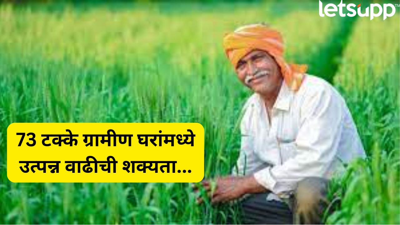 काय सांगता? पुढील वर्षी 73% गावकरी श्रीमंत होणार; नाबार्डच्या सर्वेक्षणात खुलासा NABARD Survey