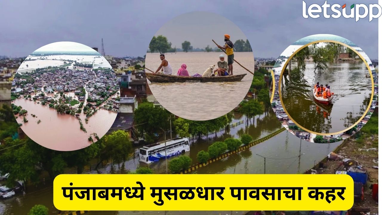पंजाबमध्ये पुरामुळे कहर! 1996 गावे पाण्याखाली, आतापर्यंत 46 जणांचा मृत्यू, 1.75 लाख हेक्टरवरील पिके नष्ट Punjab Flood
