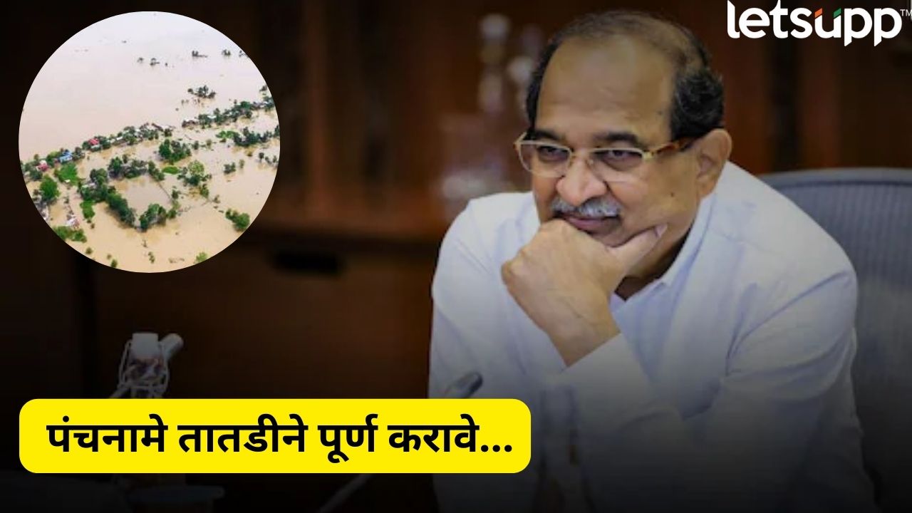 Heavy Rain : नुकसानीचे पंचनामे सुरू, मदतीपासून कोणीही वंचित राहाणार नाही; मंत्री विखेंची ग्वाही Radhakrishna Vikhe On Farmers Help