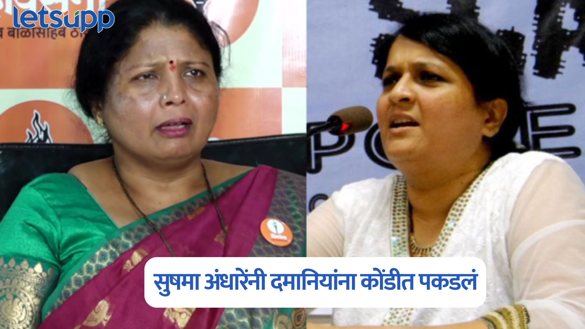 नितीन गडकरी प्रकरण; सुषमा अंधारेंनी दमानियांना कोंडीत पकडलं Sushma Andhare On Anjali Damania