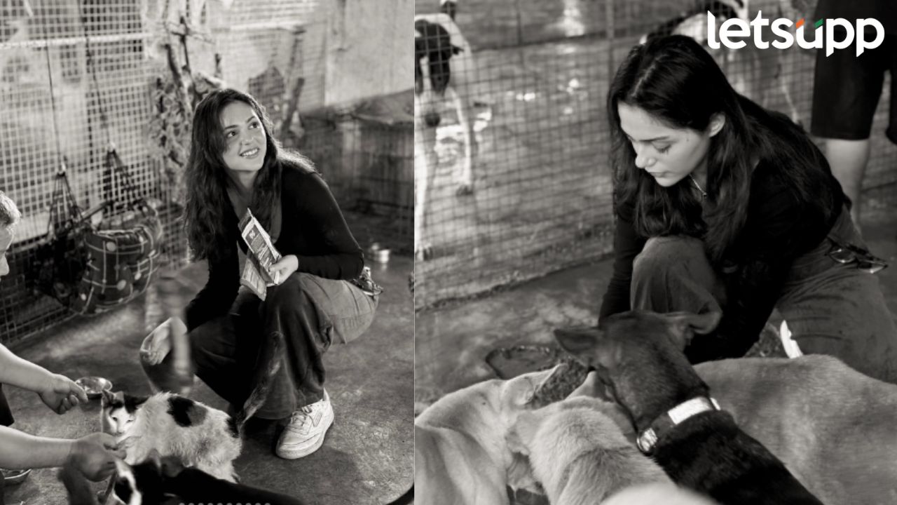 ‘सैयारा’ स्टार अनीत पड्डाचा वाचवलेल्या भटक्या प्राण्यांसोबत एक दिवस Aneet Padda Visit Kanchan Global Foundation