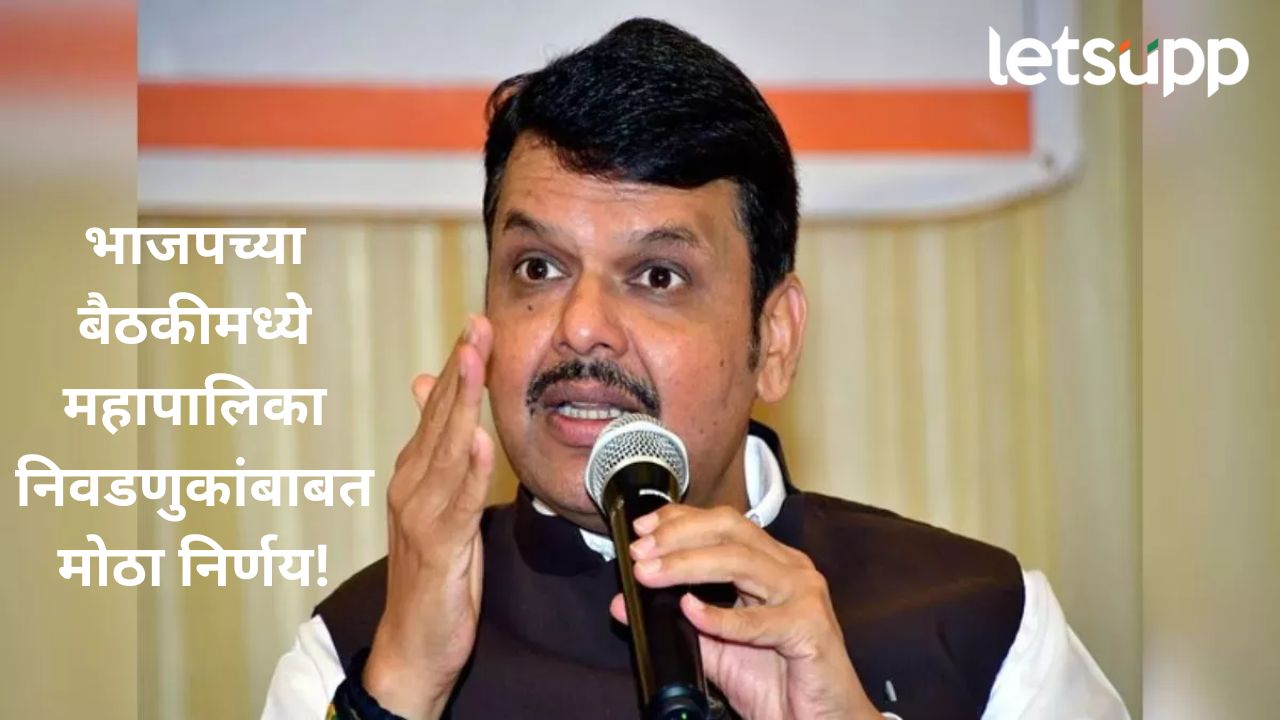 स्थानिक स्वराज्य संस्थांच्या निवडणुका युती म्हणून लढवणार का?, मुख्यमंत्री देवेंद्र फडणवीस यांनी दिली महत्वाची माहिती Fadanvis..