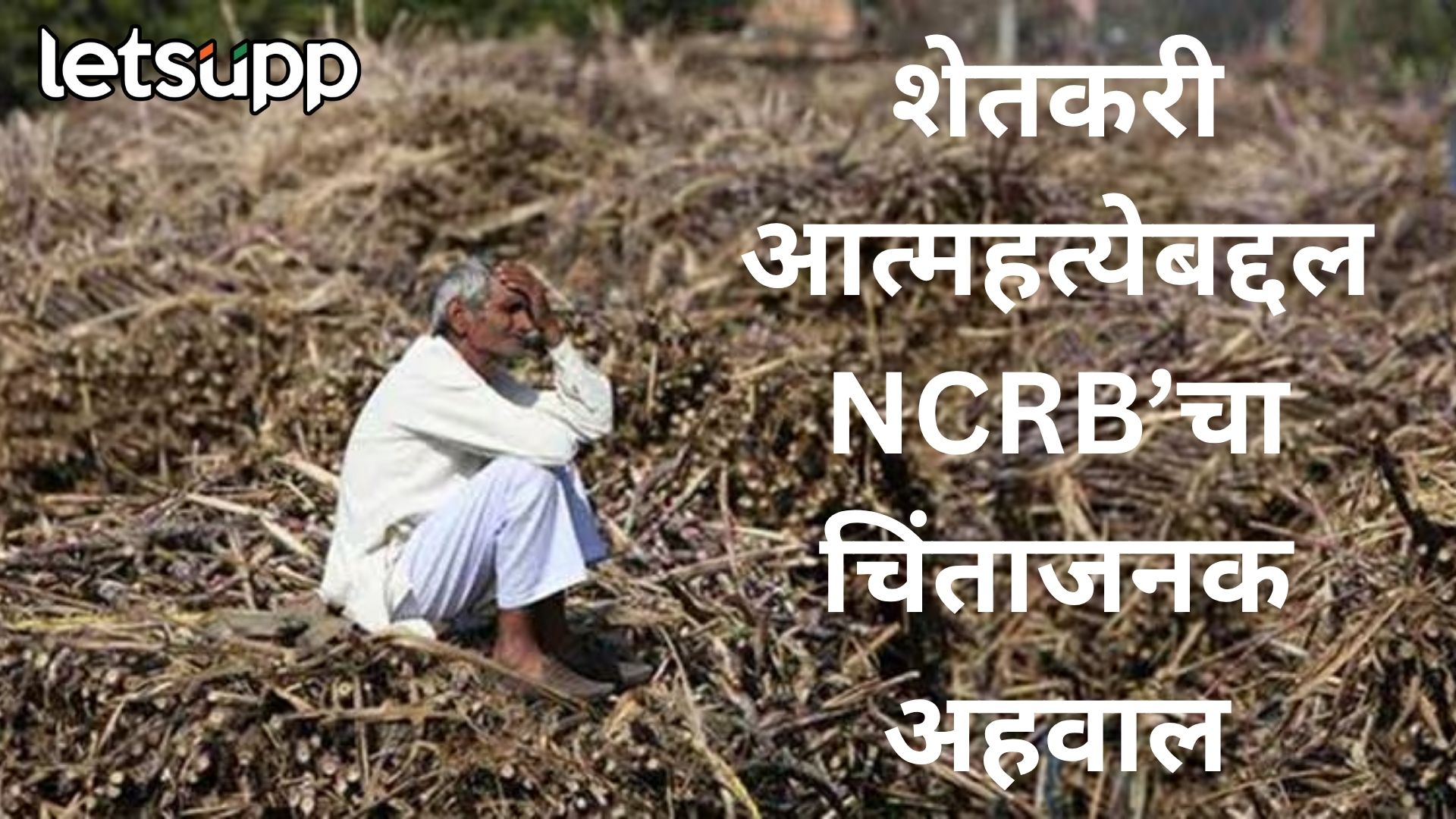 महाराष्ट्रातील शेतकरी आत्महत्येच भळभळत वास्तव; वाचा, ‘नॅशनल गुन्हे नोंद ब्युरोचा धक्कादायक अहवाल Farmer Sucide