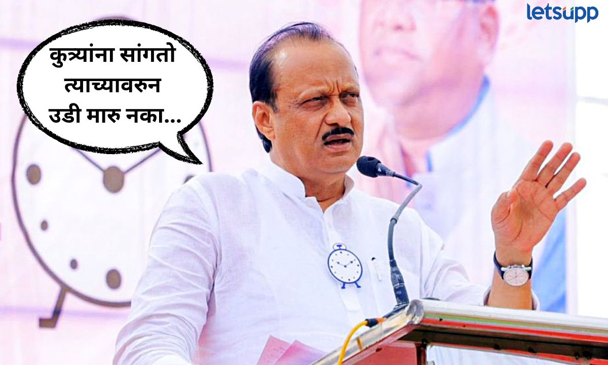 डिव्हायडर, कुत्री अन् ग्रामपंचायत ग्रामस्थांनी तक्रारी करताच अजित पवारांची तुफान फटकेबाजी Letsupp (2)
