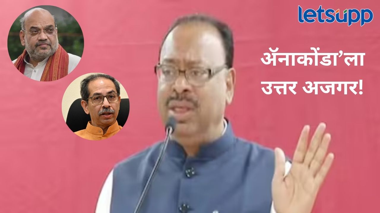 आरशात पाहा… तुम्ही एक अजगर आहात जे कायम पडून राहतं, उद्धव ठाकरेंच्या ॲनाकोंडा’वरून भाजपचा पलटवार News Photo (88)
