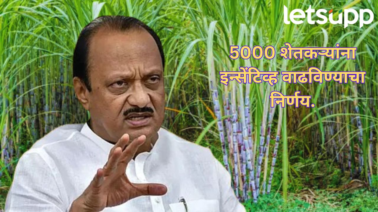 शेतकऱ्यांचे इन्सेंटिव्ह वाढवणार! अजित पवारांची मोठी घोषणा; साखर उद्योगावर महत्त्वाचा निर्णय _Sugar Industry Vasantdada Sugar Institute