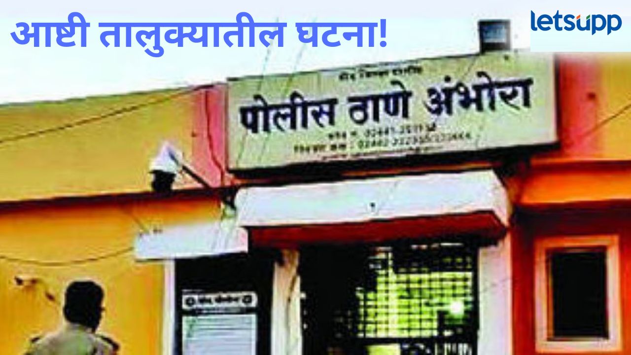 बीड जिल्हा पुन्हा हादरला! शेतीच्या वादातून हाणामारी; एकाचा मृत्यू, 6 जण अटक BEED SAYYADNMIR
