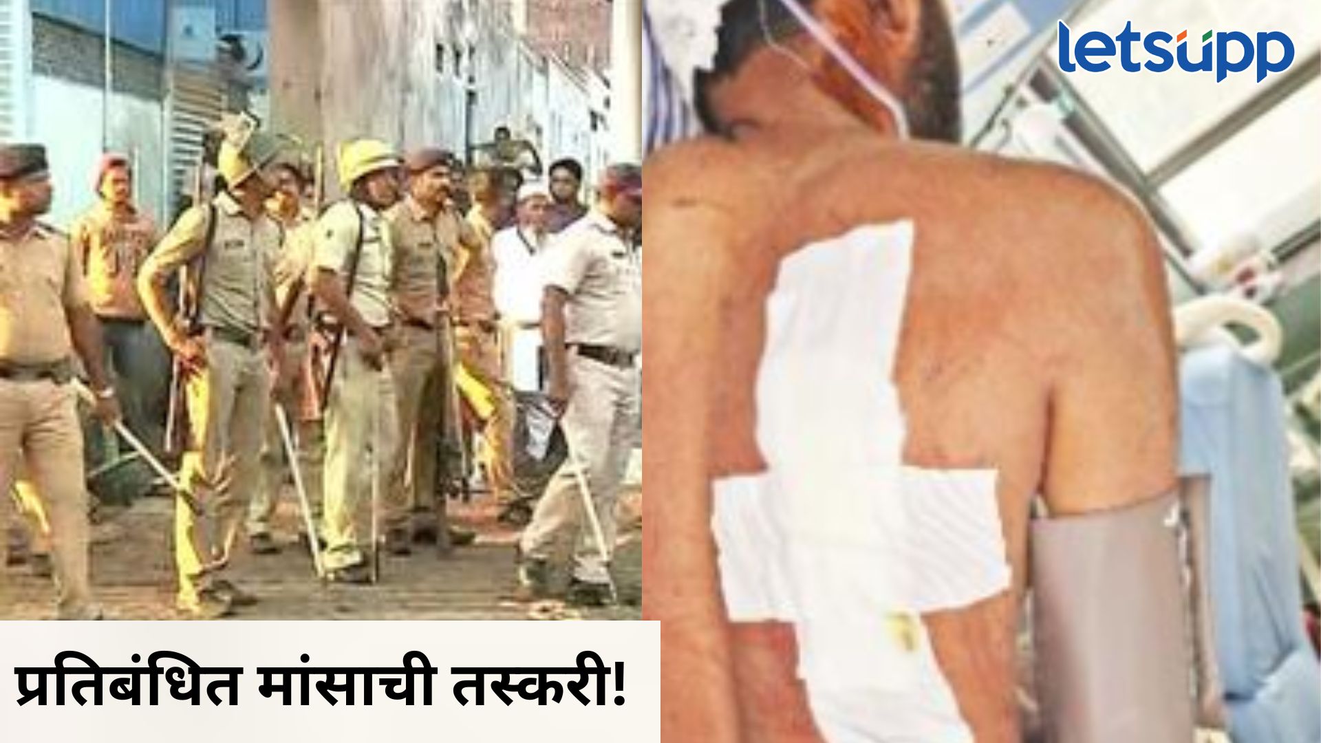 छत्रपती संभाजीनगरात गोरक्षकासह पोलिसांवर जमावाचा हल्ला; आरोपींमध्ये ५ महिलांचा समावेश Gorakshak