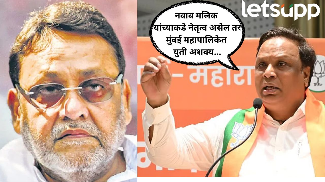 Ashish Shelar On Nawab Malik