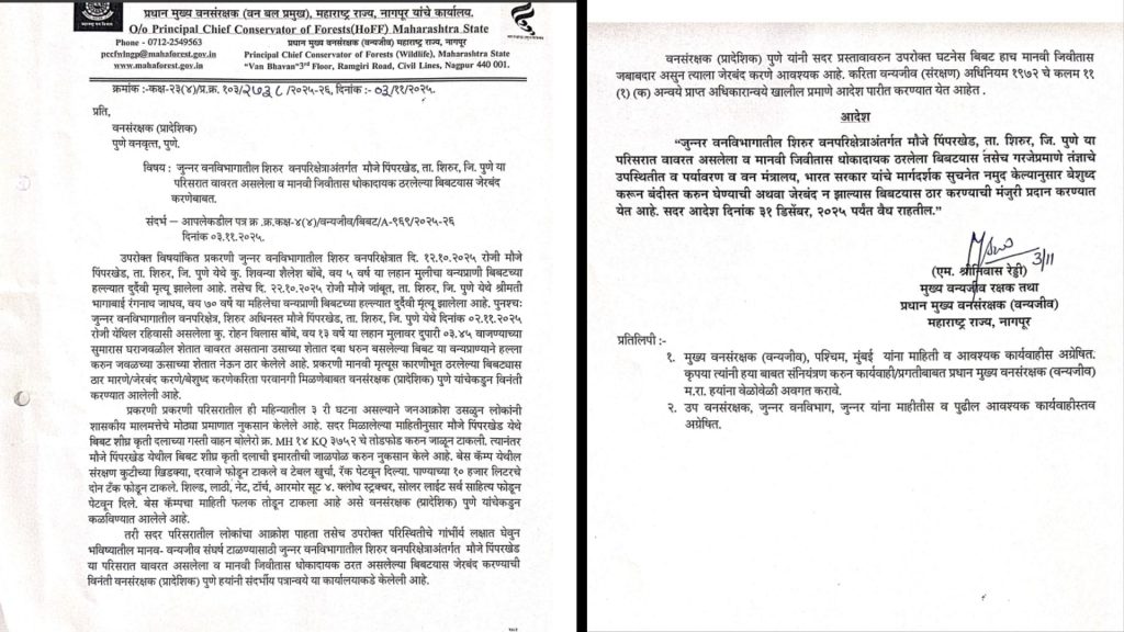 Letsupp Image 2025 11 03T122302.457