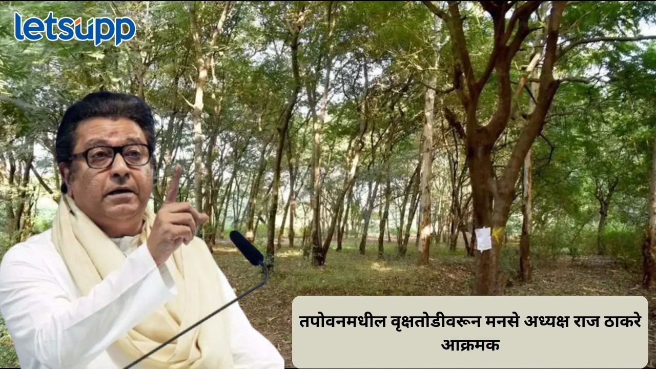 तपोवनमधील वृक्षतोडीवरून मनसे अध्यक्ष राज ठाकरे आक्रमक