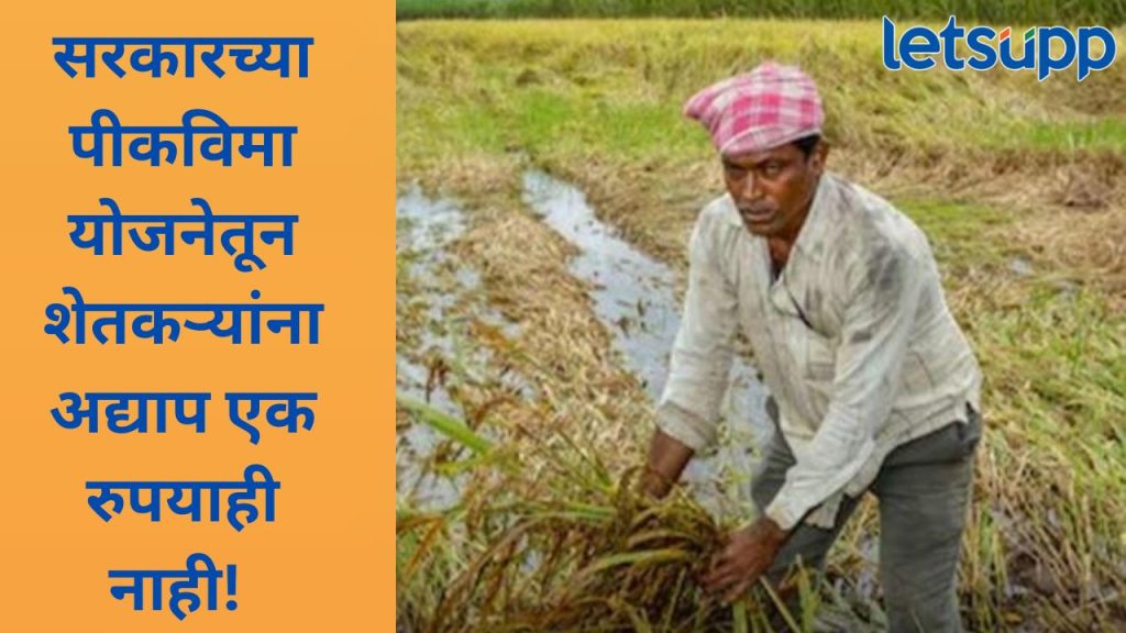 News Photo 2025 12 08T191417.891