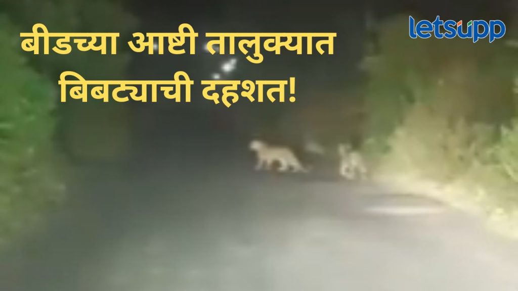 News Photo 2025 12 12T144439.321