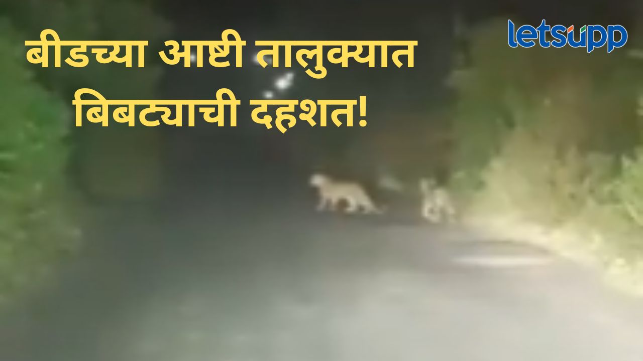 News Photo   2025 12 12T144439.321