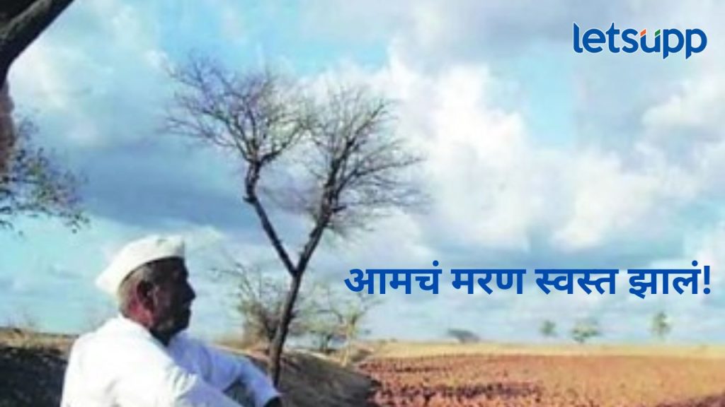 News Photo 2025 12 12T155645.439