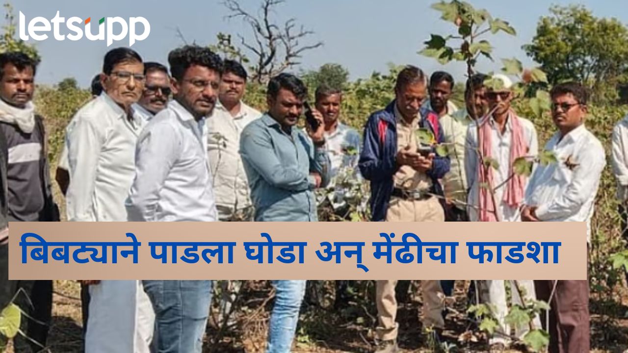 News Photo   2025 12 15T145519.713