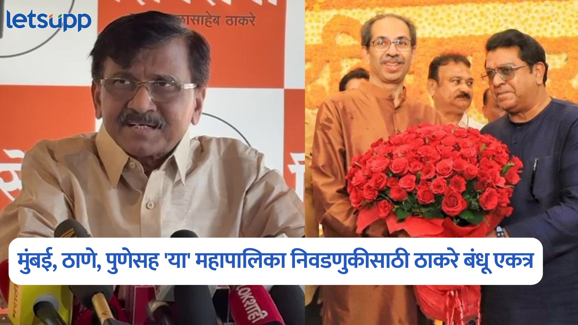 Sanjay Raut On Shiv Sena   MNS Alliance