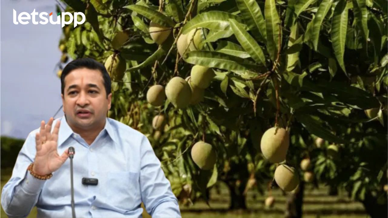 Untitled Design (51)