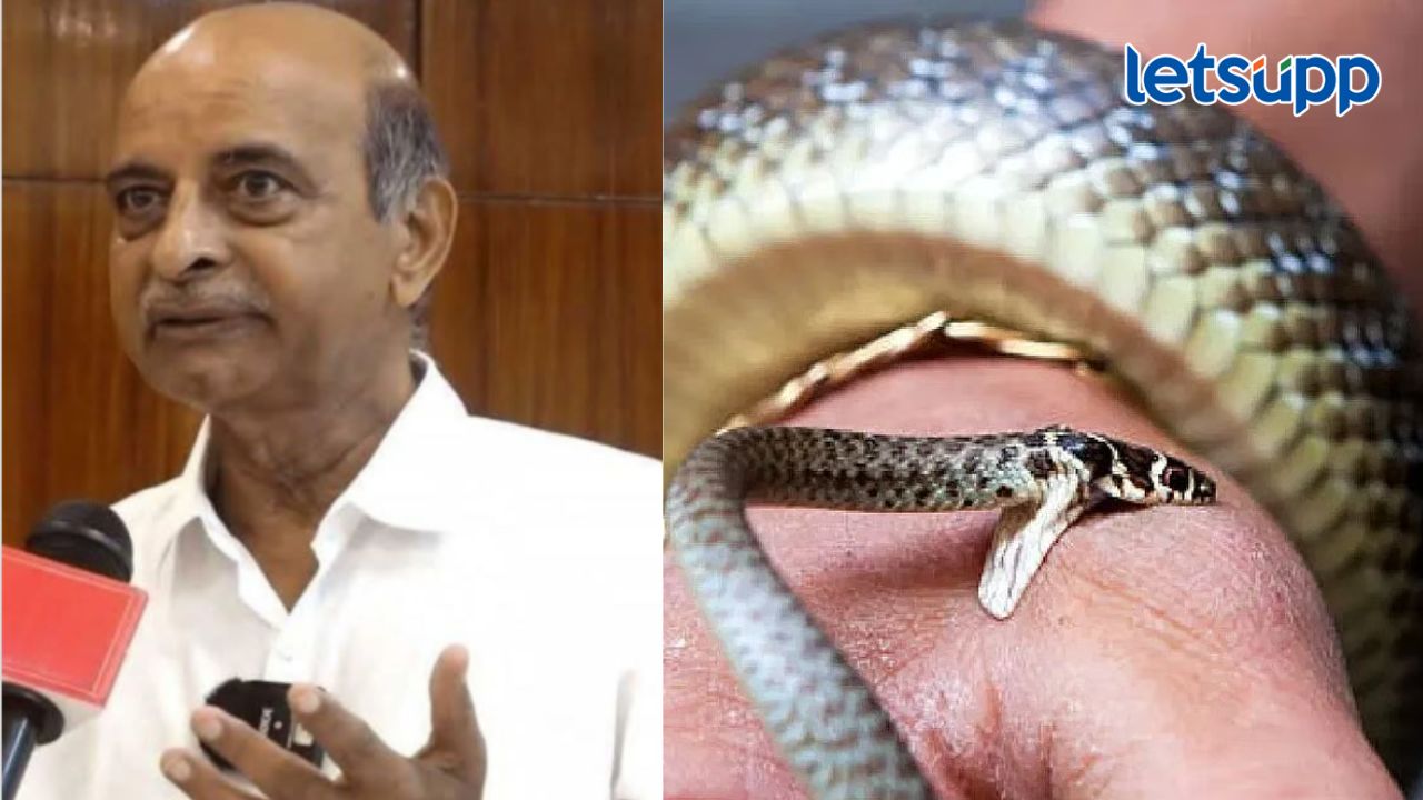 Untitled Design (88)