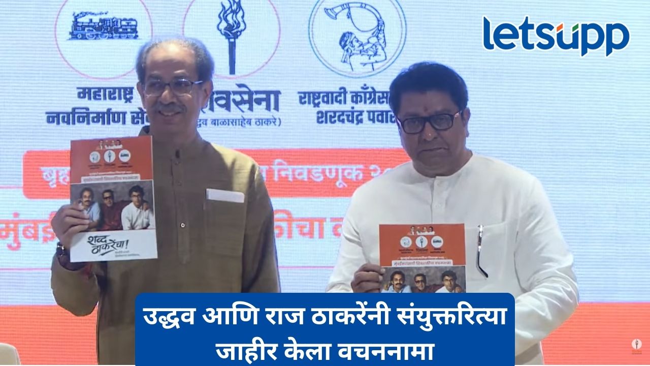 Untitled Design (207)